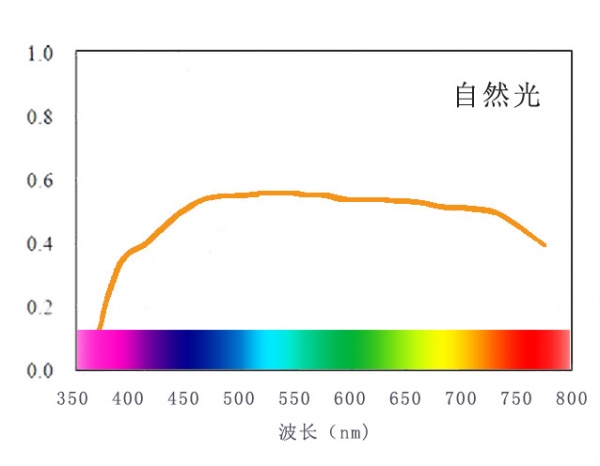 自然光阳光.jpg