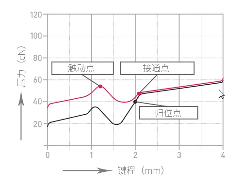 茶轴.jpg