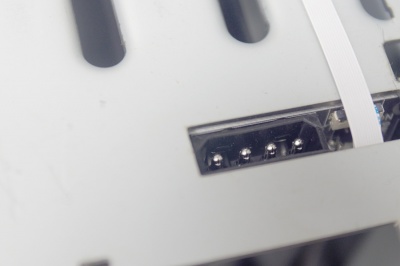 IMGP5681.jpg