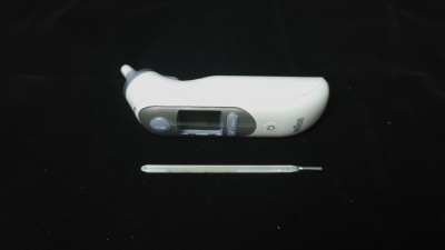 braun_irt_652006.jpg